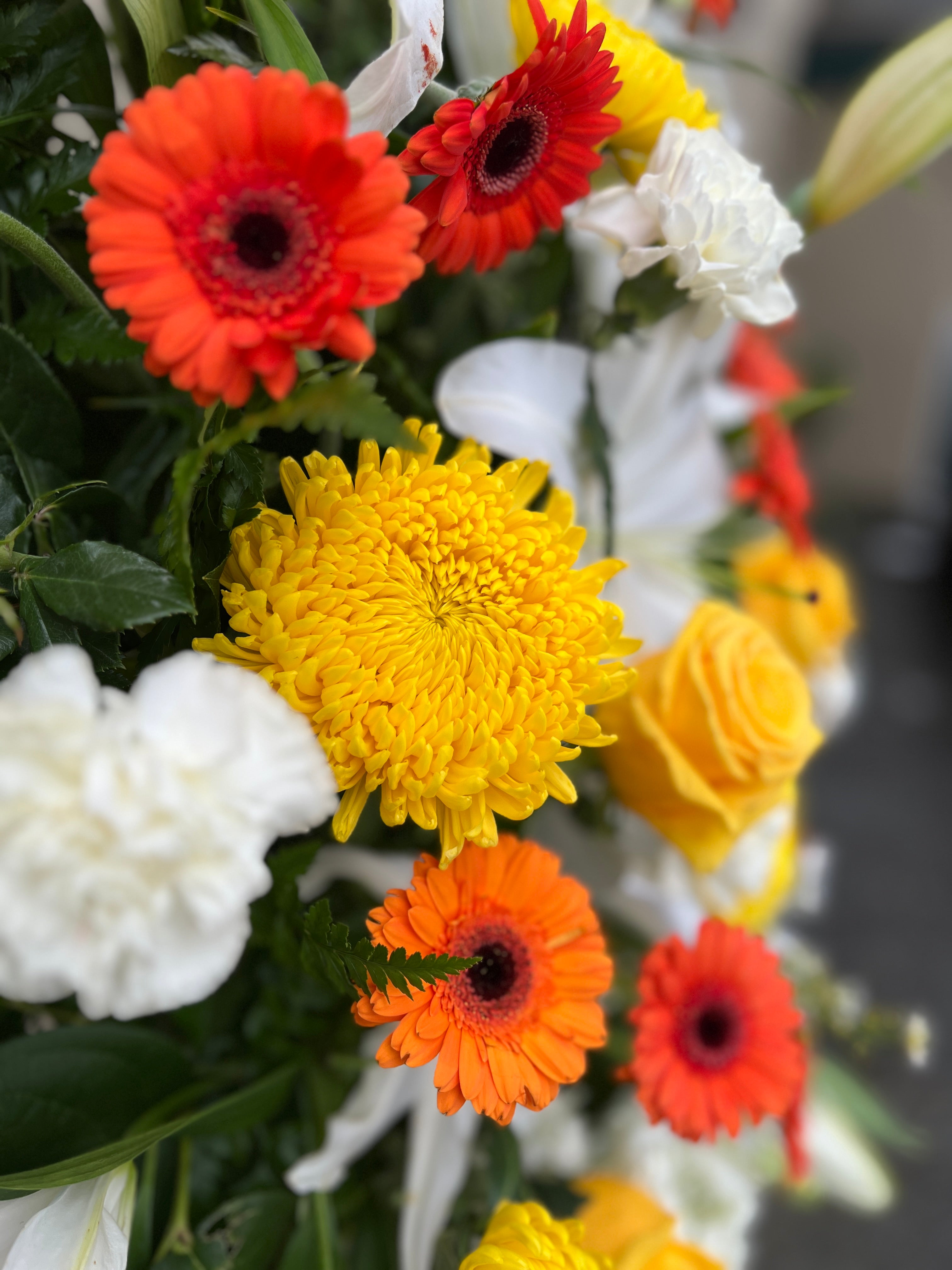 Orange Yellow and White