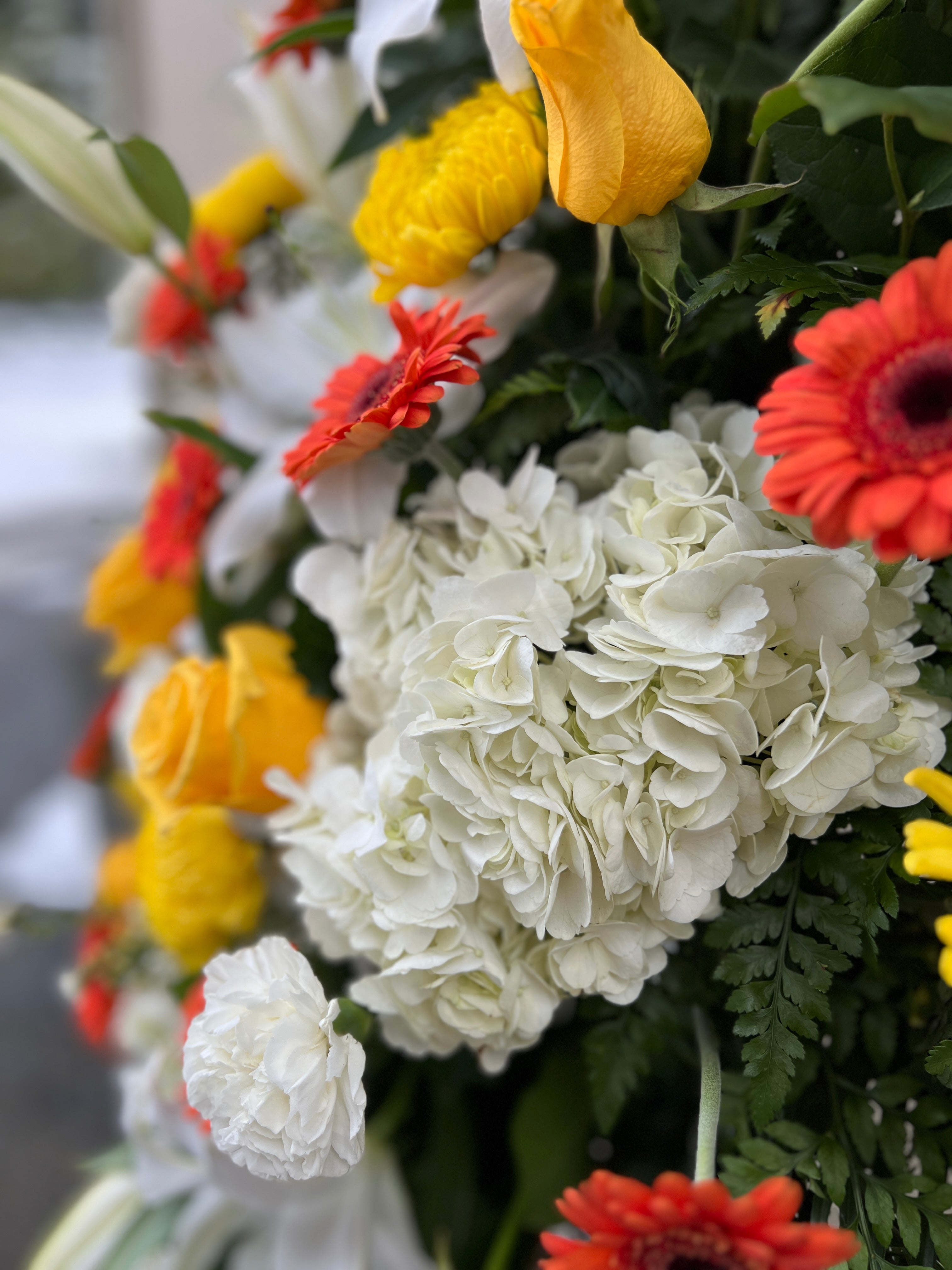 Orange Yellow and White