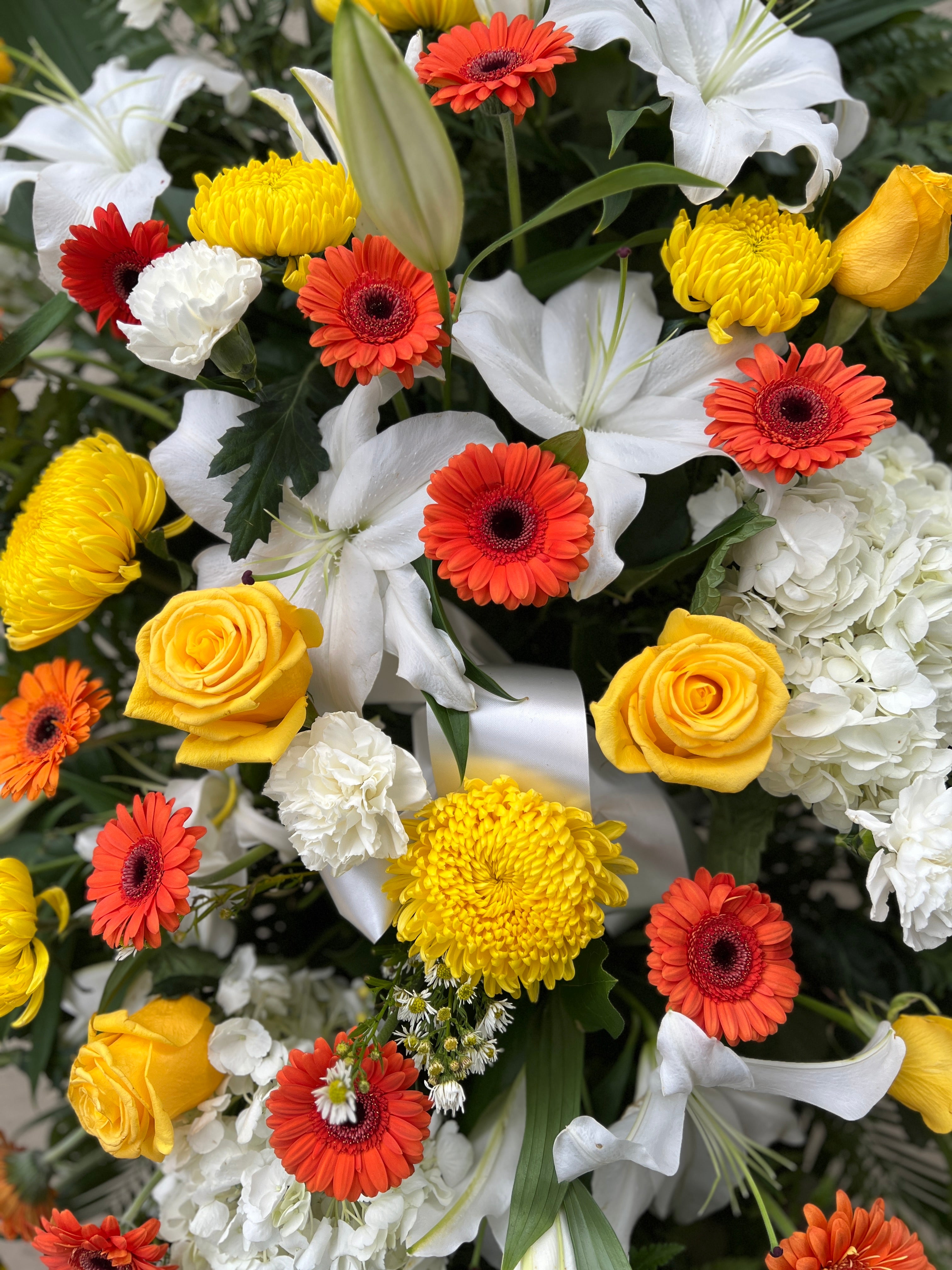 Orange Yellow and White