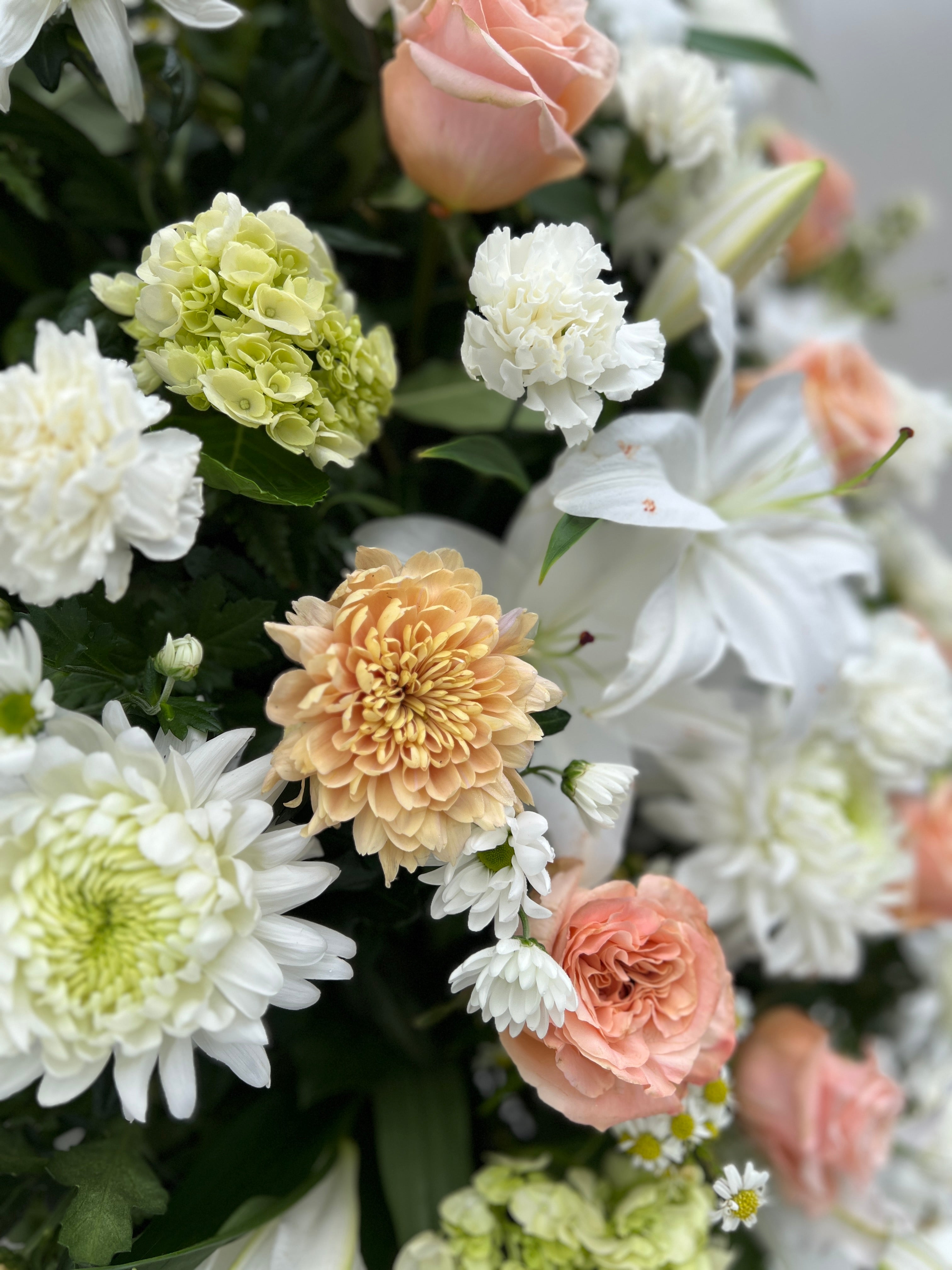 White and Peach
