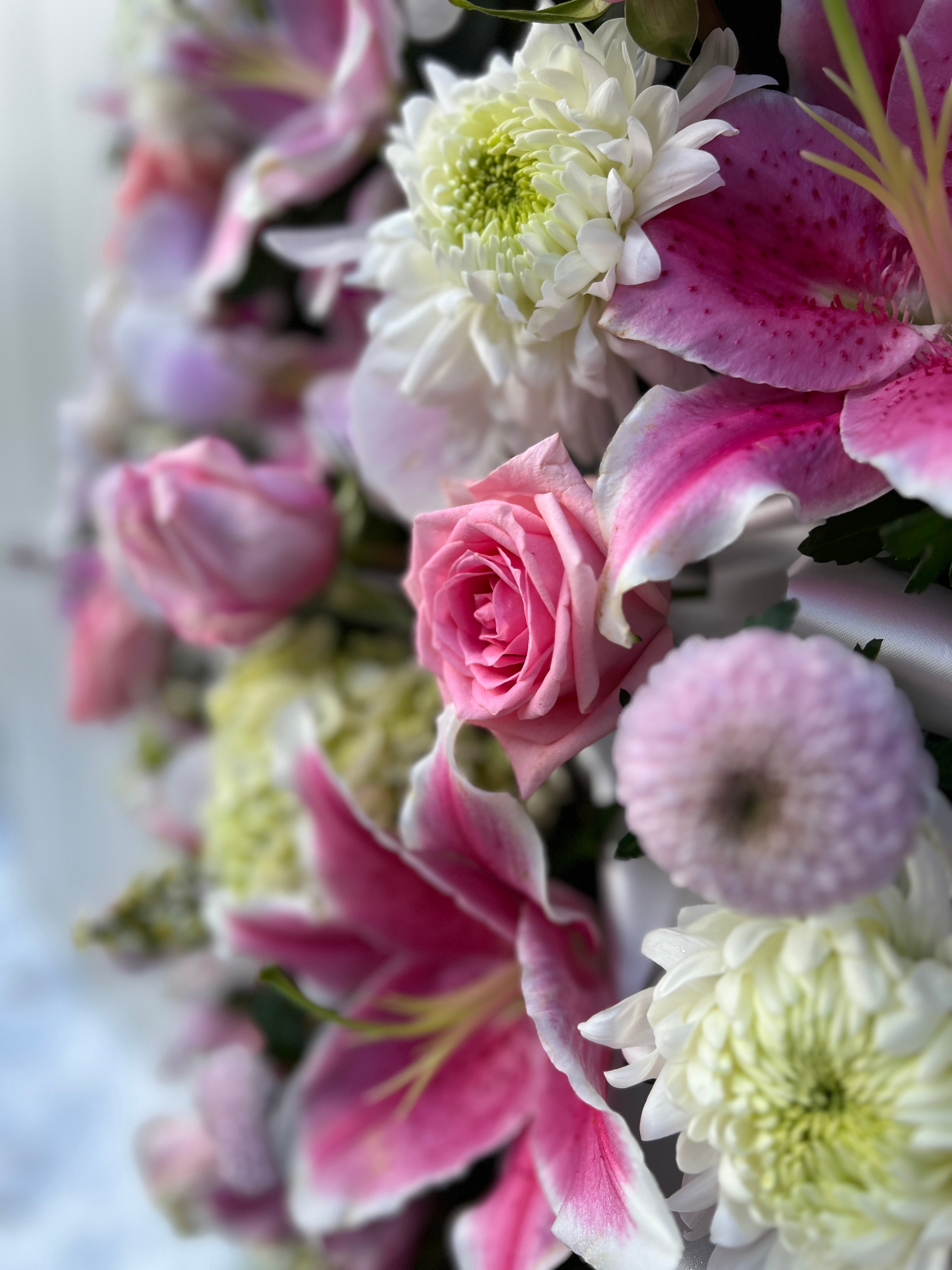 Large Pink and Purple