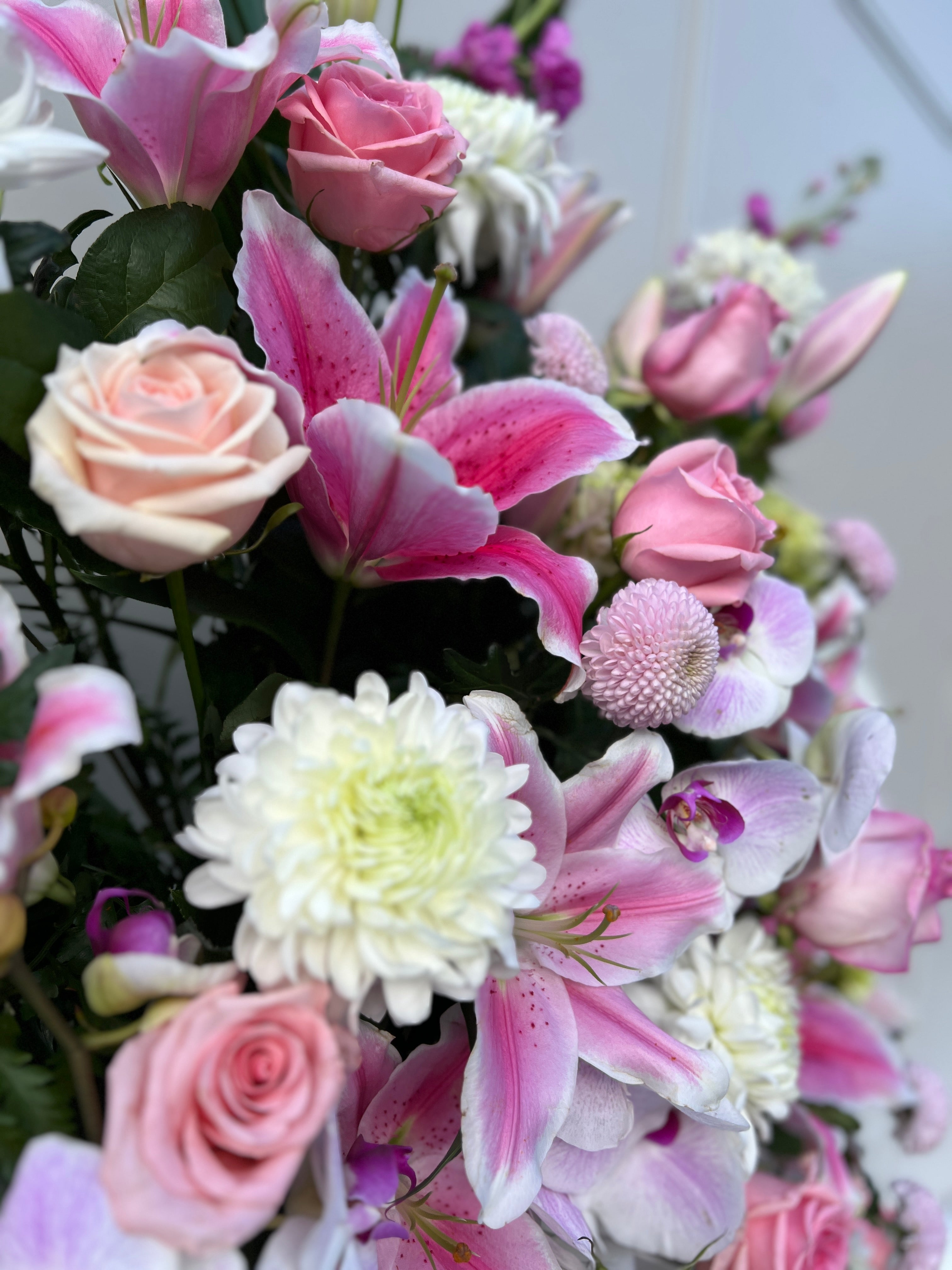Large Pink and Purple