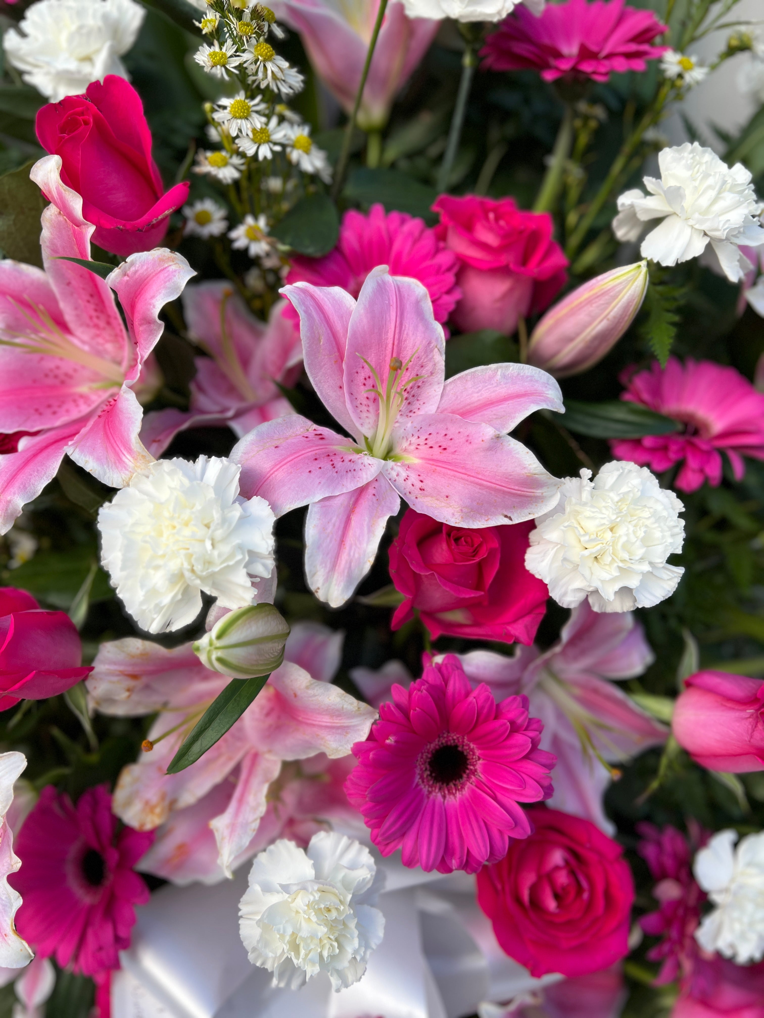 Large Pink and White