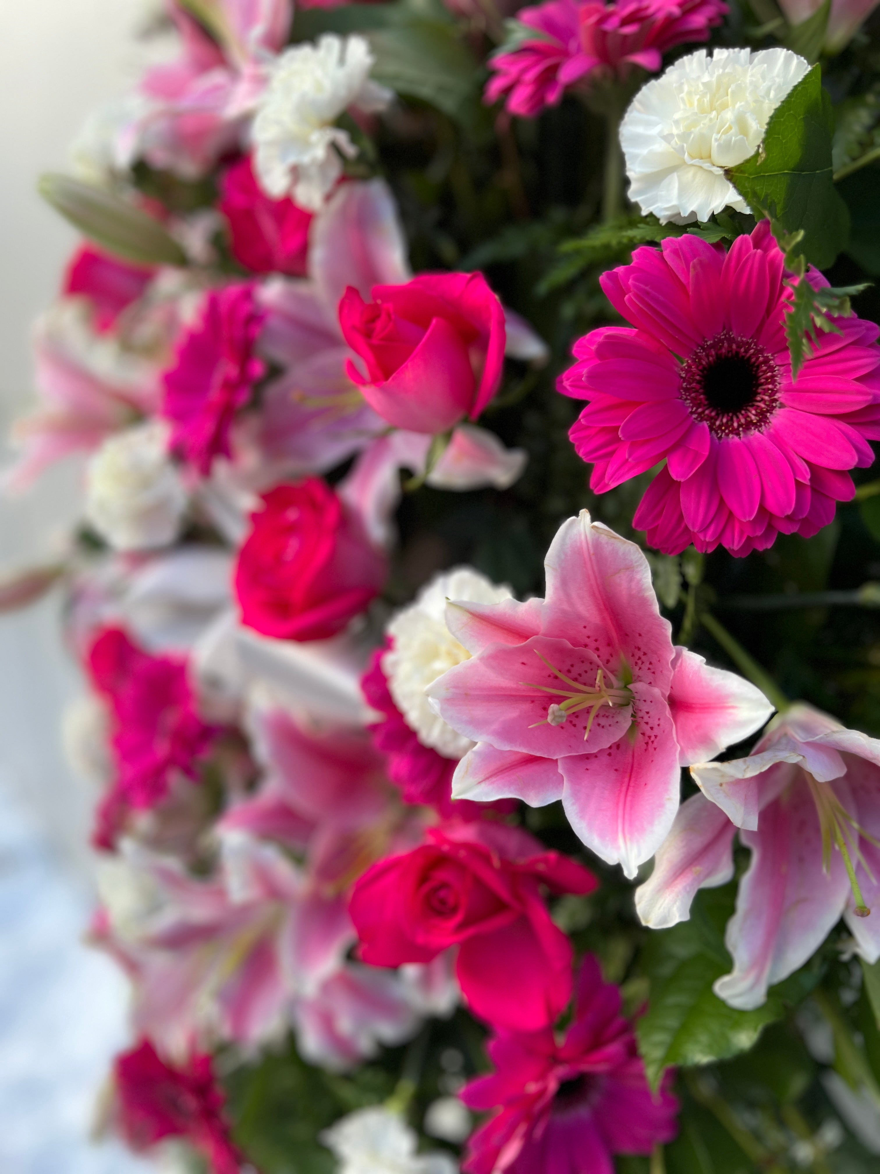 Large Pink and White