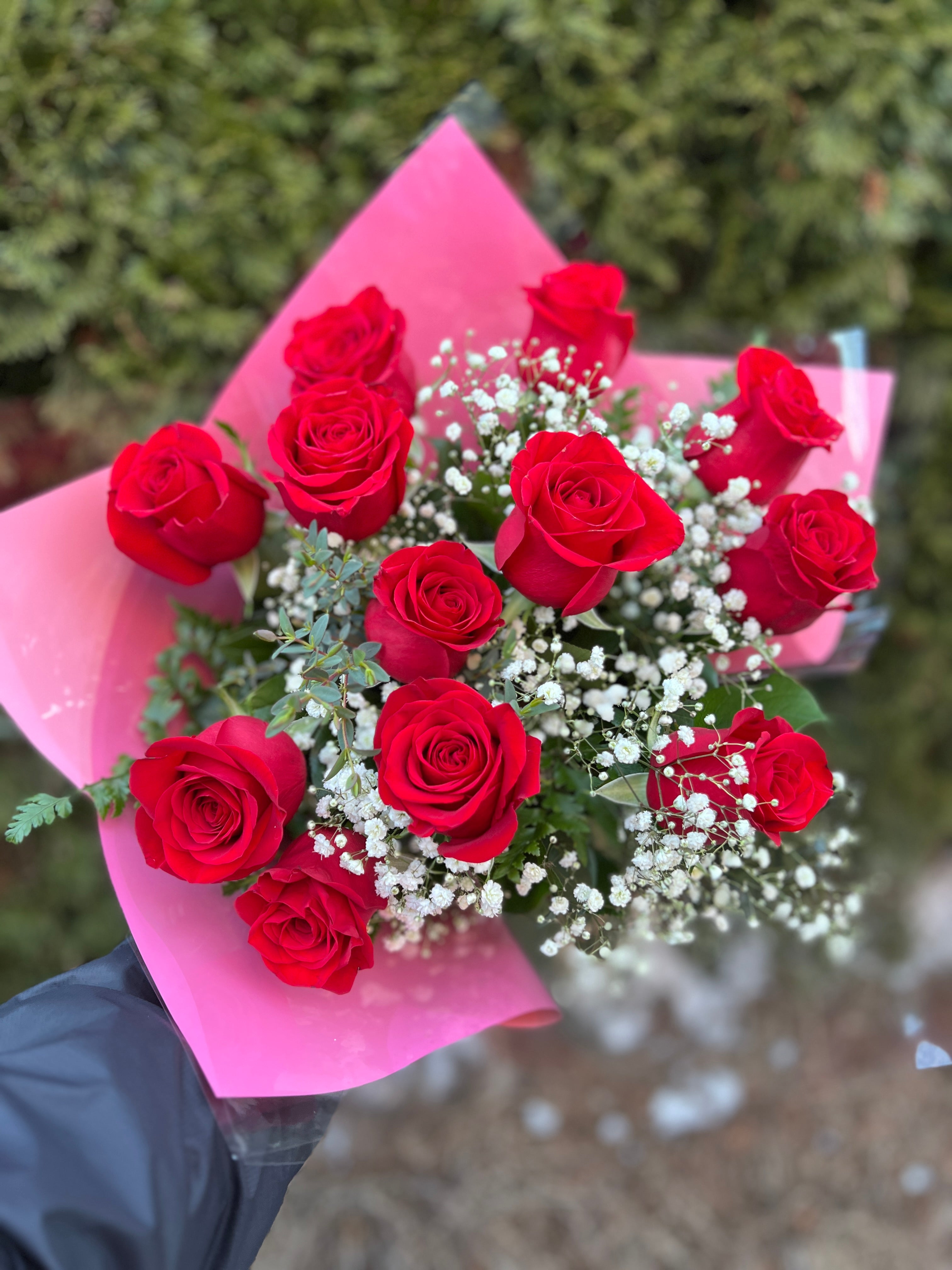 12 Red Roses