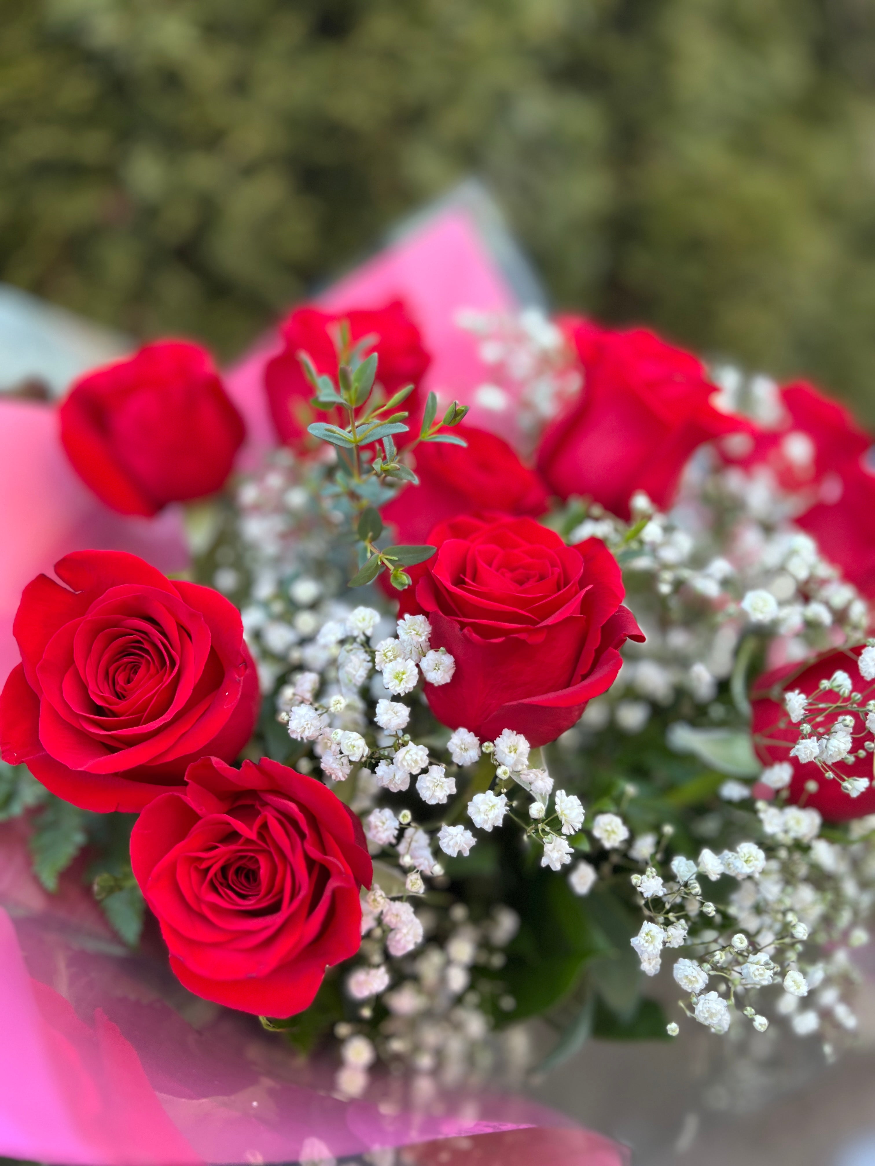 12 Red Roses