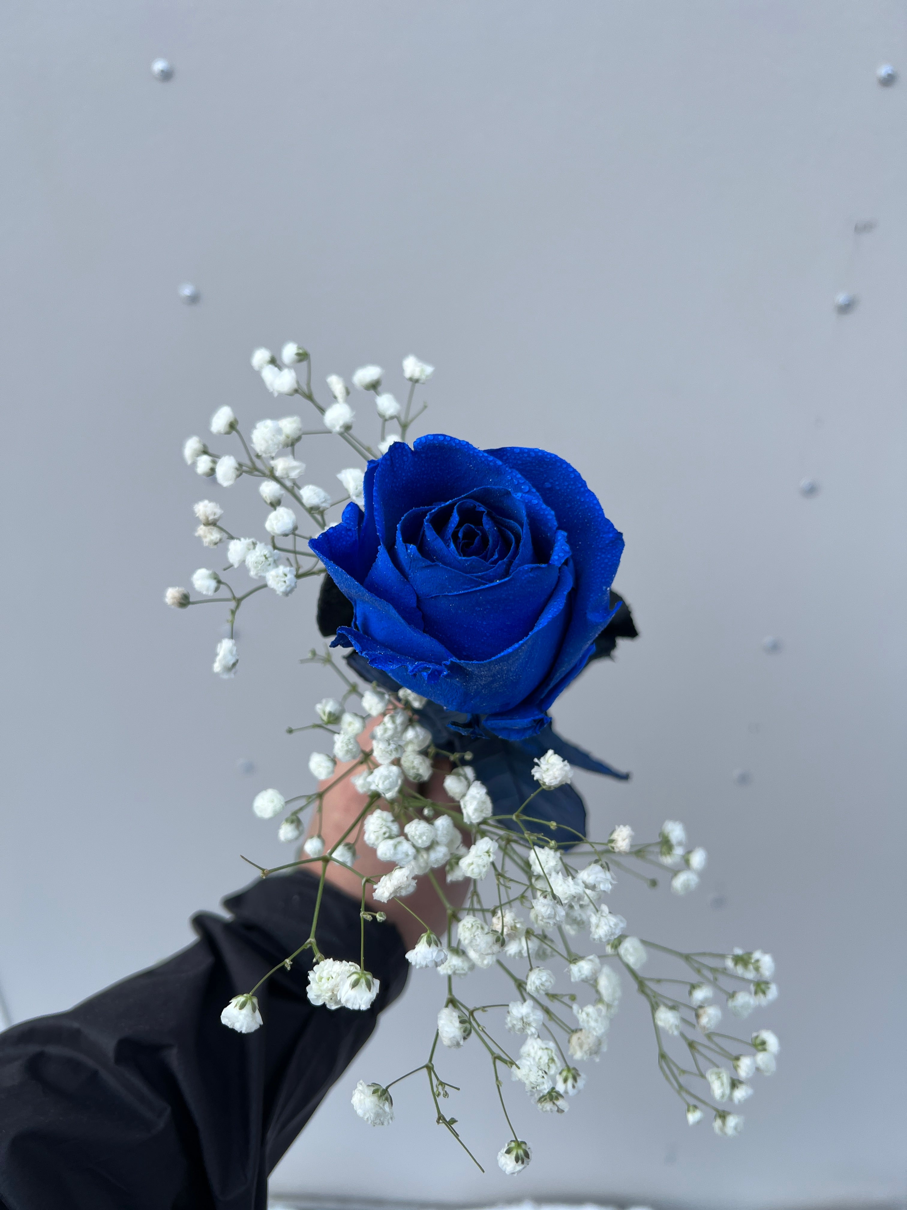 Blue Rose