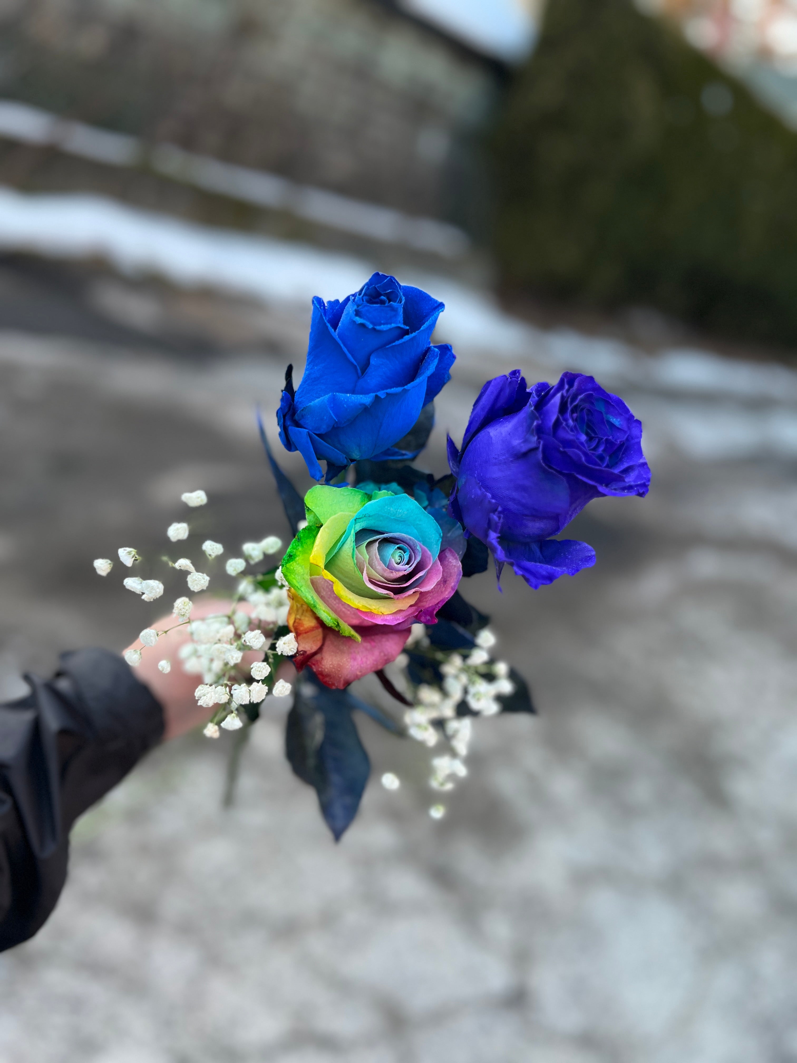 Purple Rose