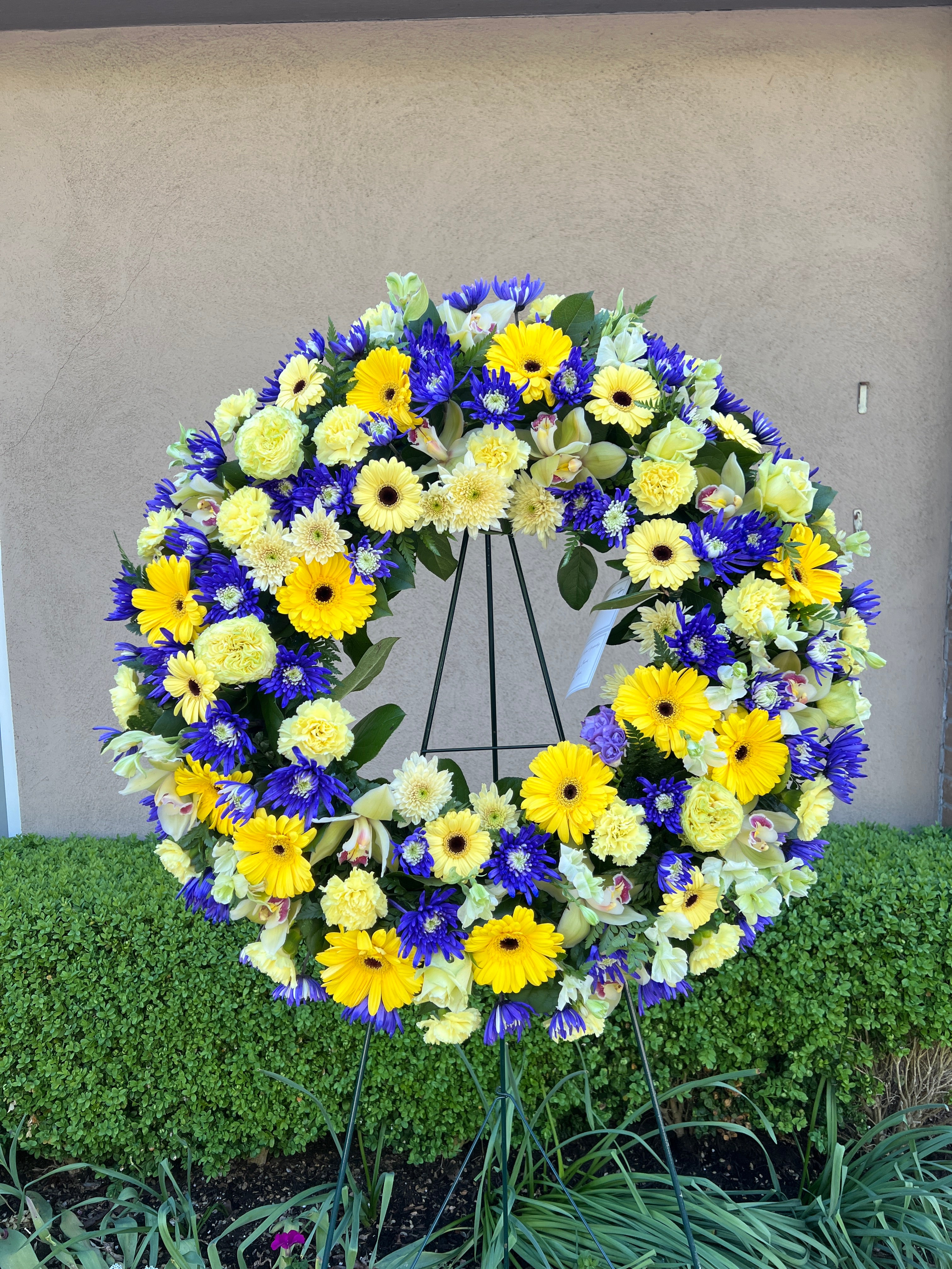 Yellow and Blue