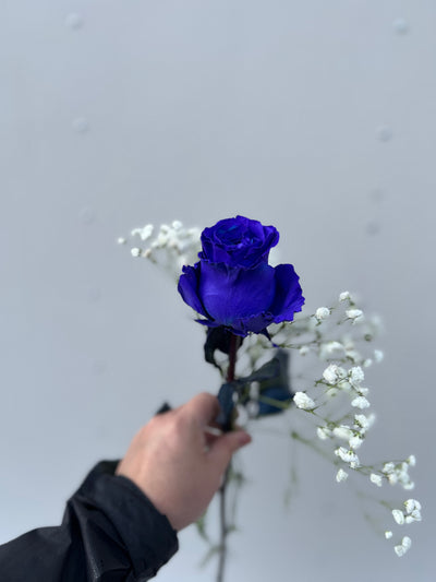 Purple Rose